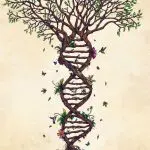 The Double Helix of Creativity